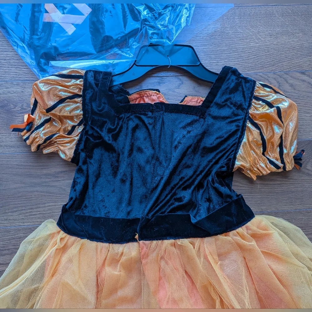 Hyde & Eek! Kid Fancy Witch Costume Size L 3+ Dress & Hat